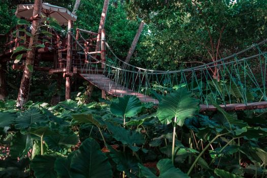 Rope suspension bridge in a lush forest setting with vibrant greenery.
