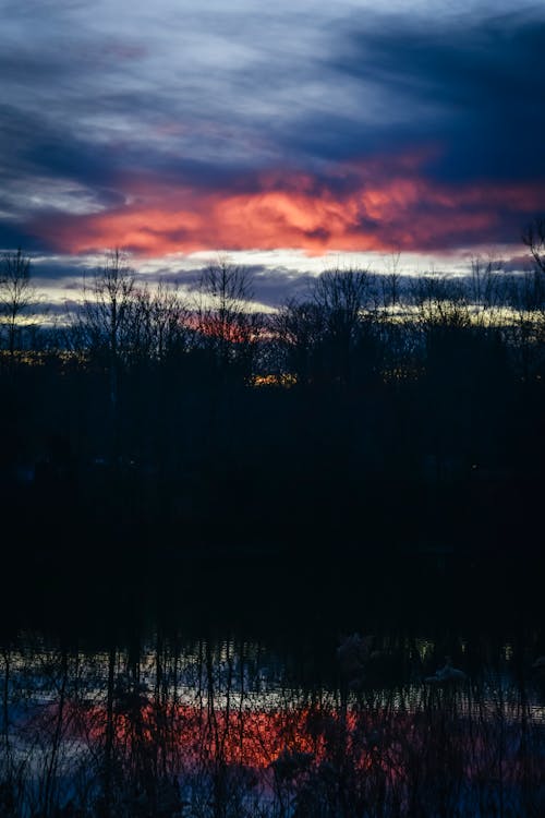 Dark thick clouds floating high in air on sky above tall leafless trees growing in woodland at sundown time in nature