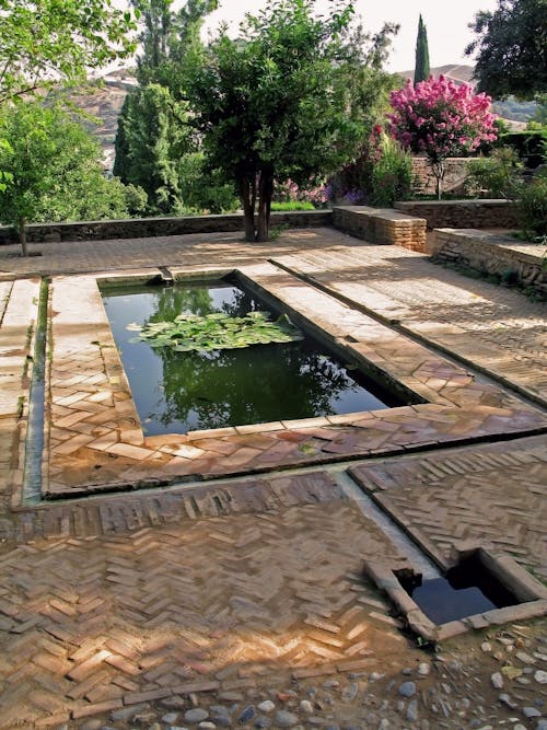 Free stock photo of alhambra, architecture, beauty Stock Photo