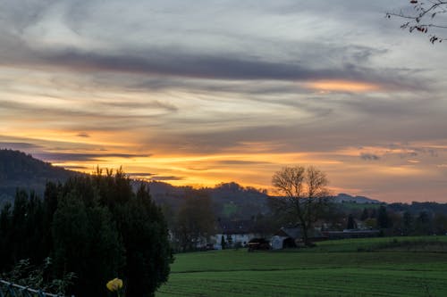 Fotobanka s bezplatnými fotkami na tému buš, HDR, hracie polia