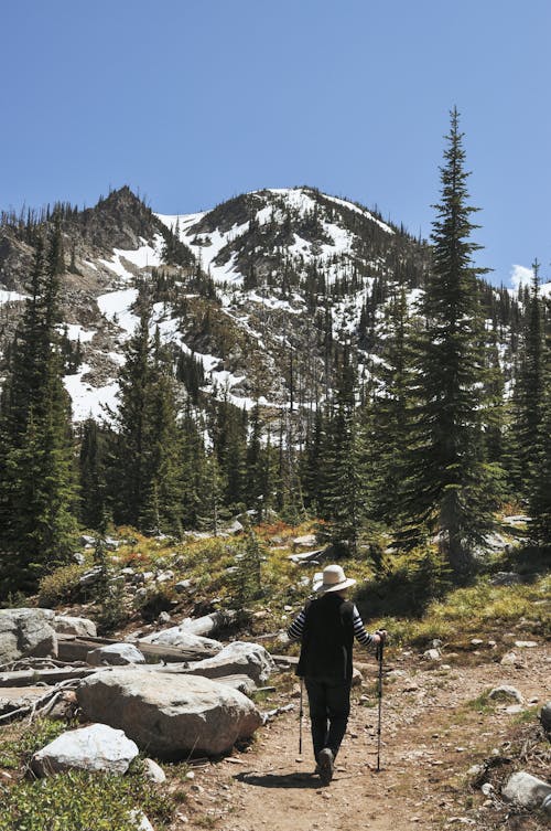 Человек в черной куртке, стоящий на каменистой земле возле зеленых сосен и заснеженной горы