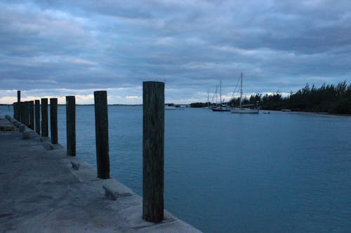 Free stock photo of channel, dock, harbour