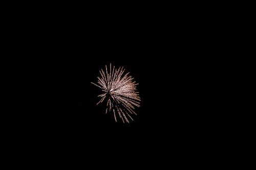 Colorful firework with shining sparks bursting in night cloudless sky on black background holiday celebration on street in dark city