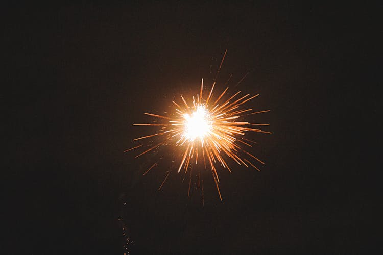 Bright Firework Illuminating Dark Sky