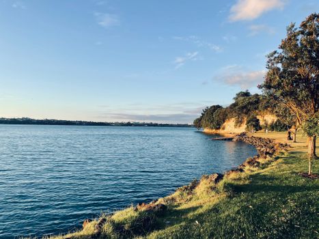 Waiheke Island wine ferry day — Auckland