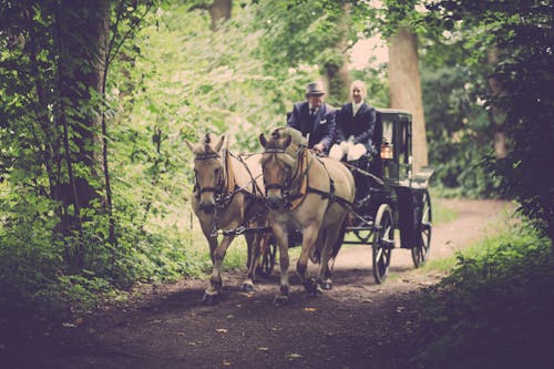 Free Two Man On A Carriage With Horse Stock Photo