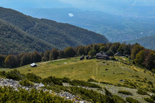 Houses and Green Trees on Green Mountains