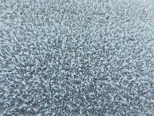Free stock photo of frost, outside, white