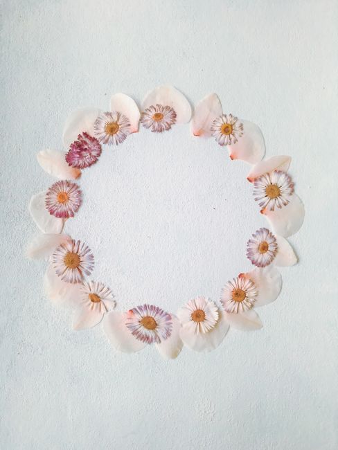 From above of round frame with tender rose petals and daisy flower heads placed on white background