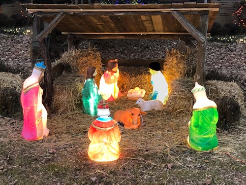 Free stock photo of christmas decoration, jesus, manger