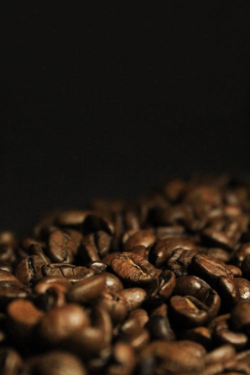 Fotobanka s bezplatnými fotkami na tému fazule, káva, kávové zrná