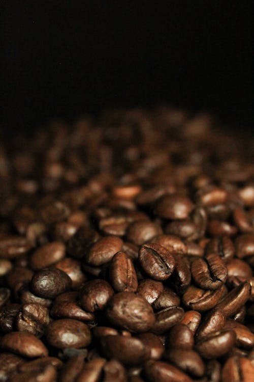 Kostnadsfri bild av brun, kaffebönor, närbild