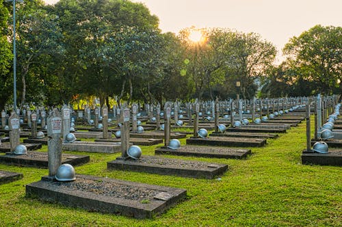 Cemetery with gravestones and trees