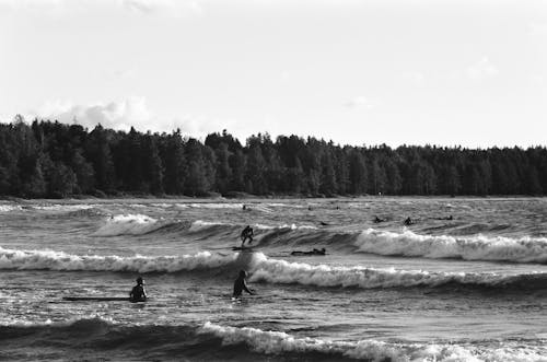 Free Grayscale Photo of People on Beach Stock Photo