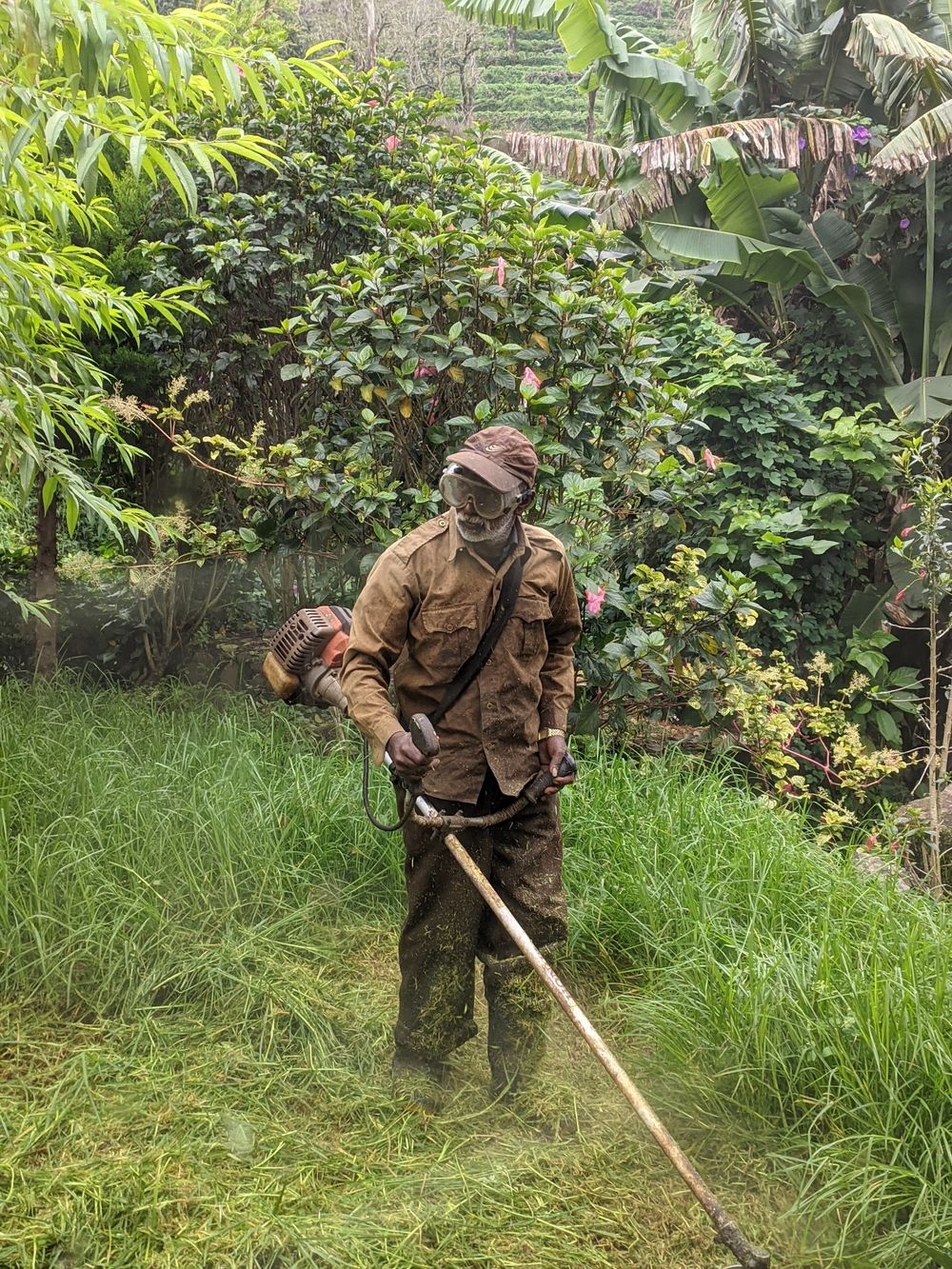 Greenline Landscapes — Lawn Maintenance