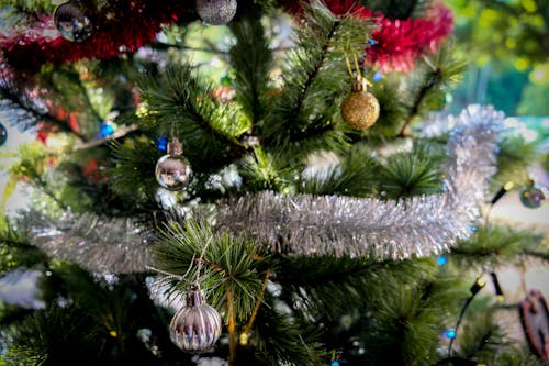 Fotos de stock gratuitas de adornos de navidad, árbol de Navidad, bolas de navidad