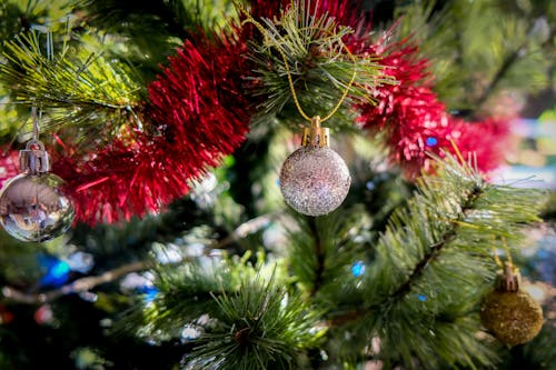 Fotos de stock gratuitas de adornos de navidad, árbol de Navidad, bolas de navidad