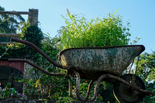 Close Up of Wheelbarrow