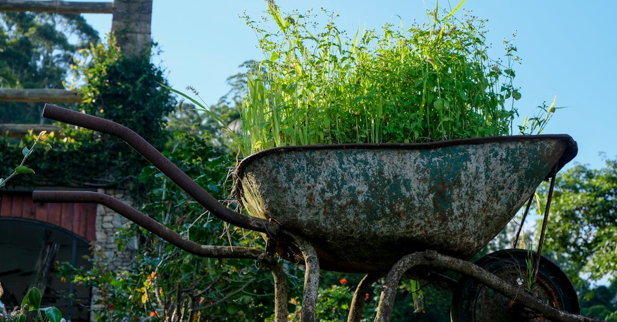 7 Old Farm Tools From Boomer Childhoods That Decorators Love