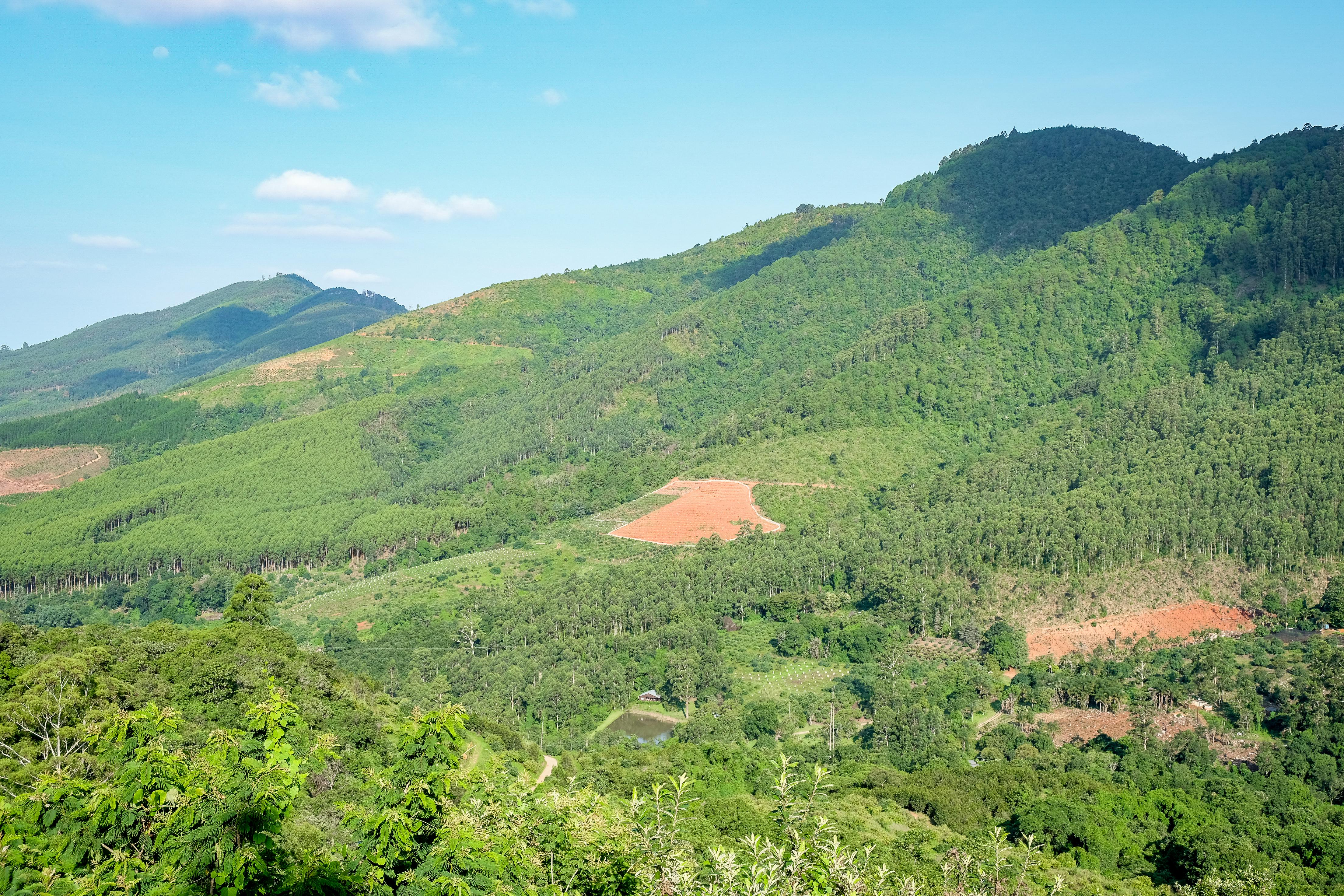 Colinas verdes y bosque en la cuenca del Congo a la luz del día
