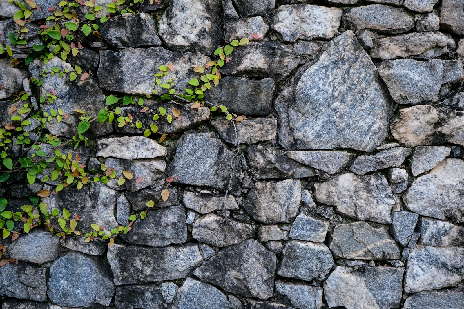 Pflaster & Naturstein: Naturstein, Granit, Basalt, Platten