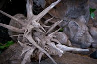 Brown Wood Carvings in Close-up Shot