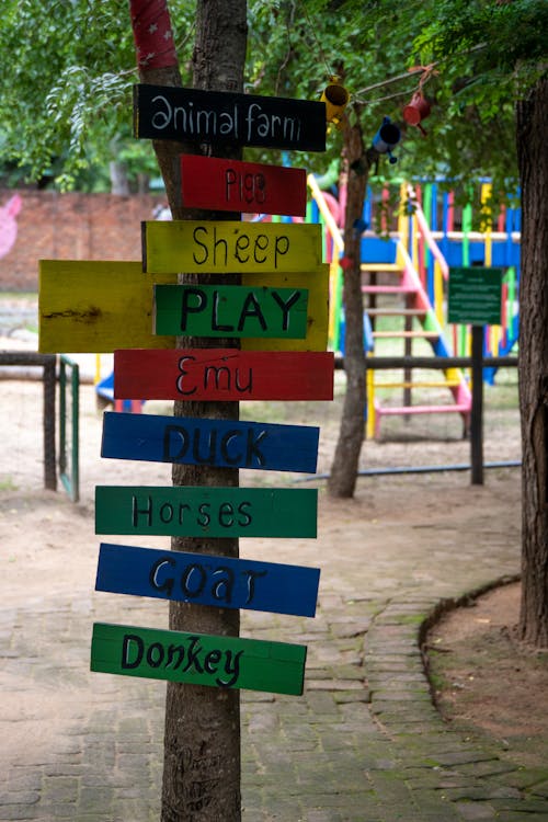 공원, 놀이터, 다채로운의 무료 스톡 사진