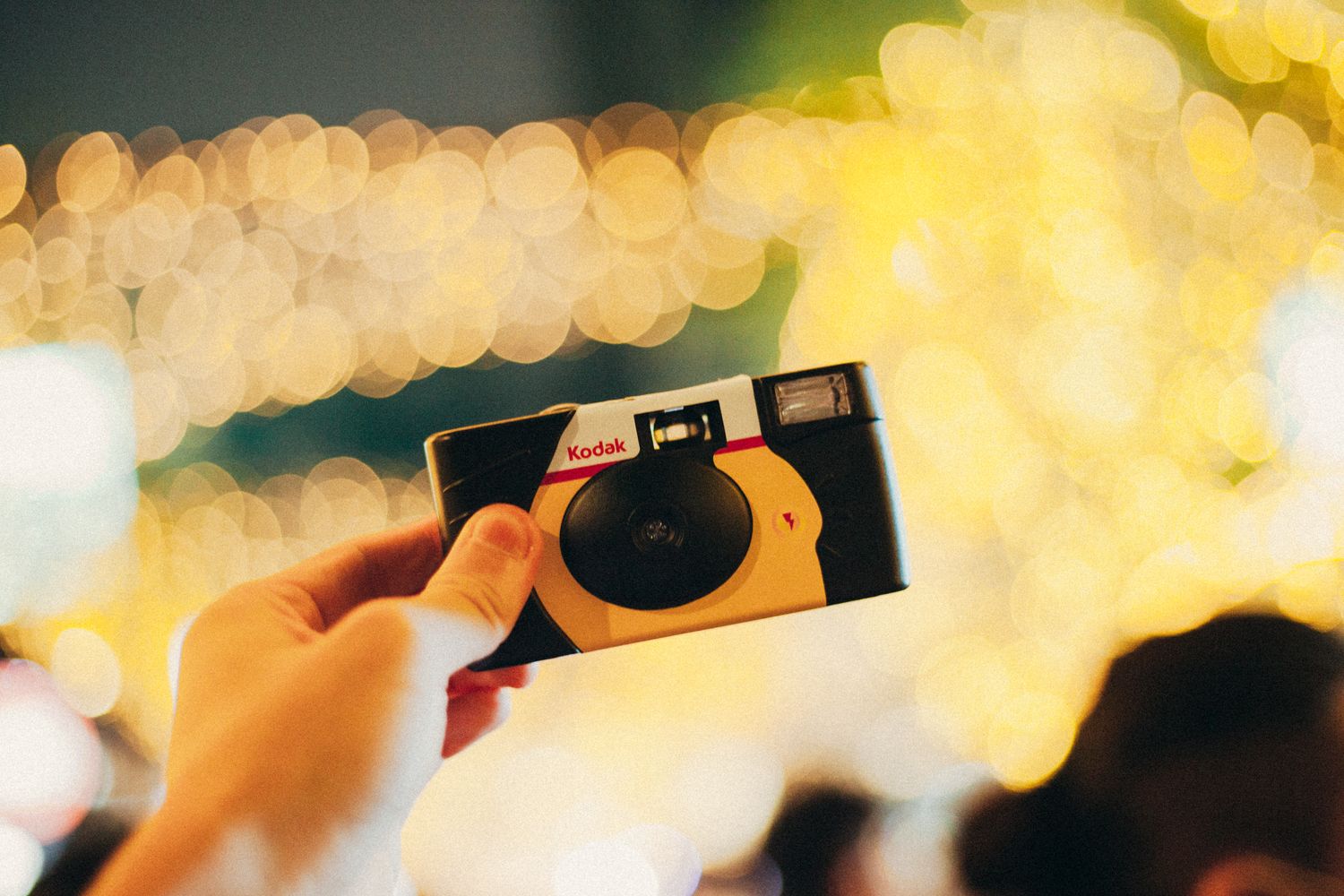 Disposable Camera Photos, Download The BEST Free Disposable Camera ...