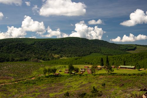 Free Serene rural scene with lush greenery, rolling hills, and clear blue skies. Stock Photo
