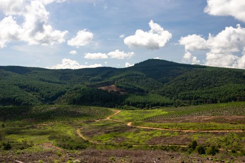Free Scenic view of verdant hills under a blue sky with clouds perfect for nature enthusiasts. Stock Photo