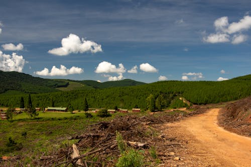 Dirt Road Near the houses in the Countryside