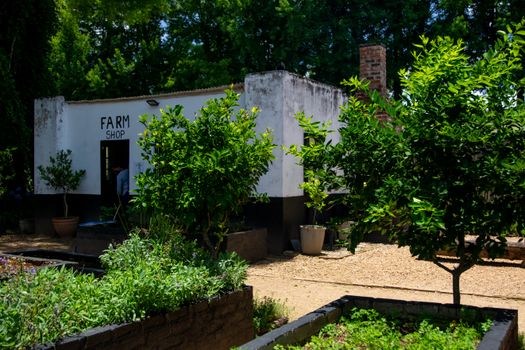 A picturesque farm shop surrounded by thriving plants and trees, highlighting rural simplicity.