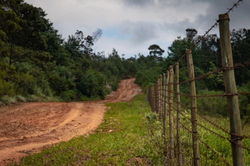 Free Scenic dirt road bordered by green foliage and a rustic fence under a cloudy sky. Stock Photo