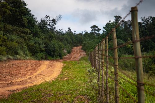 Free A picturesque dirt road winds through lush countryside, bordered by a rustic wire fence and vibrant green trees. Stock Photo