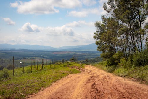 A Dirt Road Near the Green Trees Under the Blue Sky and White Clouds