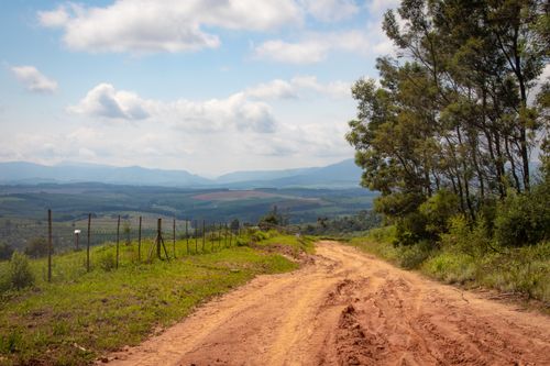 Free Serene countryside view showcasing a dirt road, lush greenery, and distant mountains under a blue sky. Stock Photo