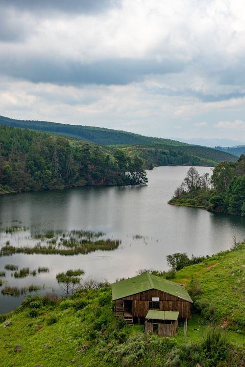 Free A serene view of a lakeside cabin surrounded by lush greenery and tranquil water. Stock Photo