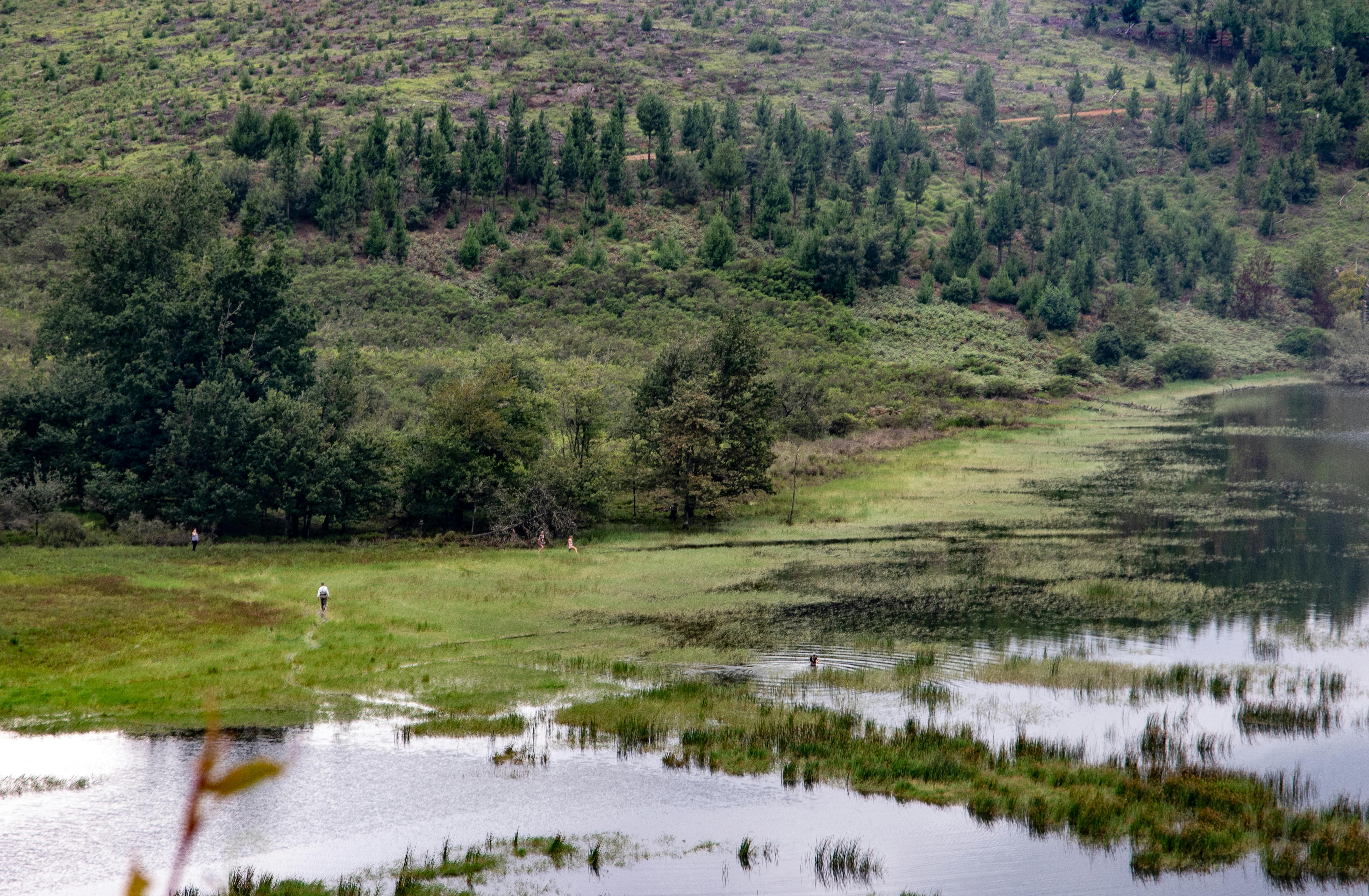 Which field makes the most money?