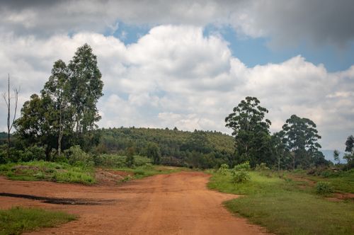 Free A tranquil rural path surrounded by lush greenery and clouds, perfect for nature enthusiasts. Stock Photo