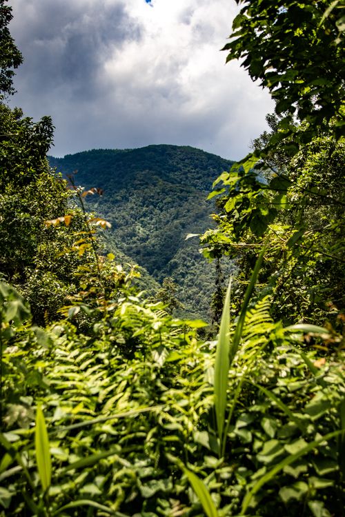 Free Captivating view of a lush green mountain under a dramatic cloudy sky, perfect for nature lovers. Stock Photo