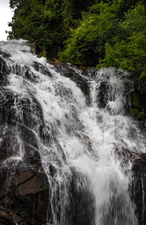 Foto profissional grátis de ao ar livre, árvores verdes, cachoeira