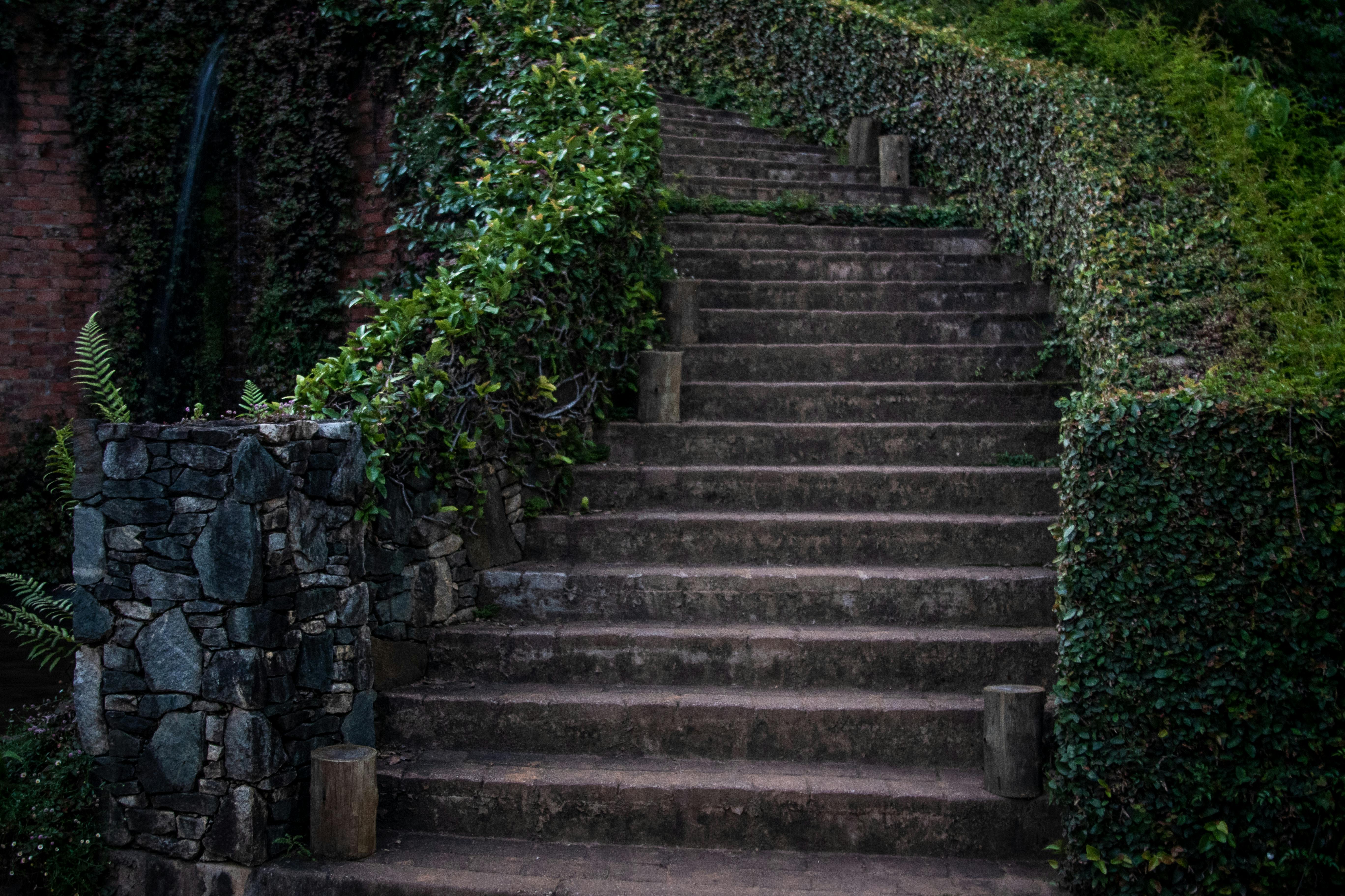 Natural stone retaining wall with integrated steps and plantings - hardscape retaining wall