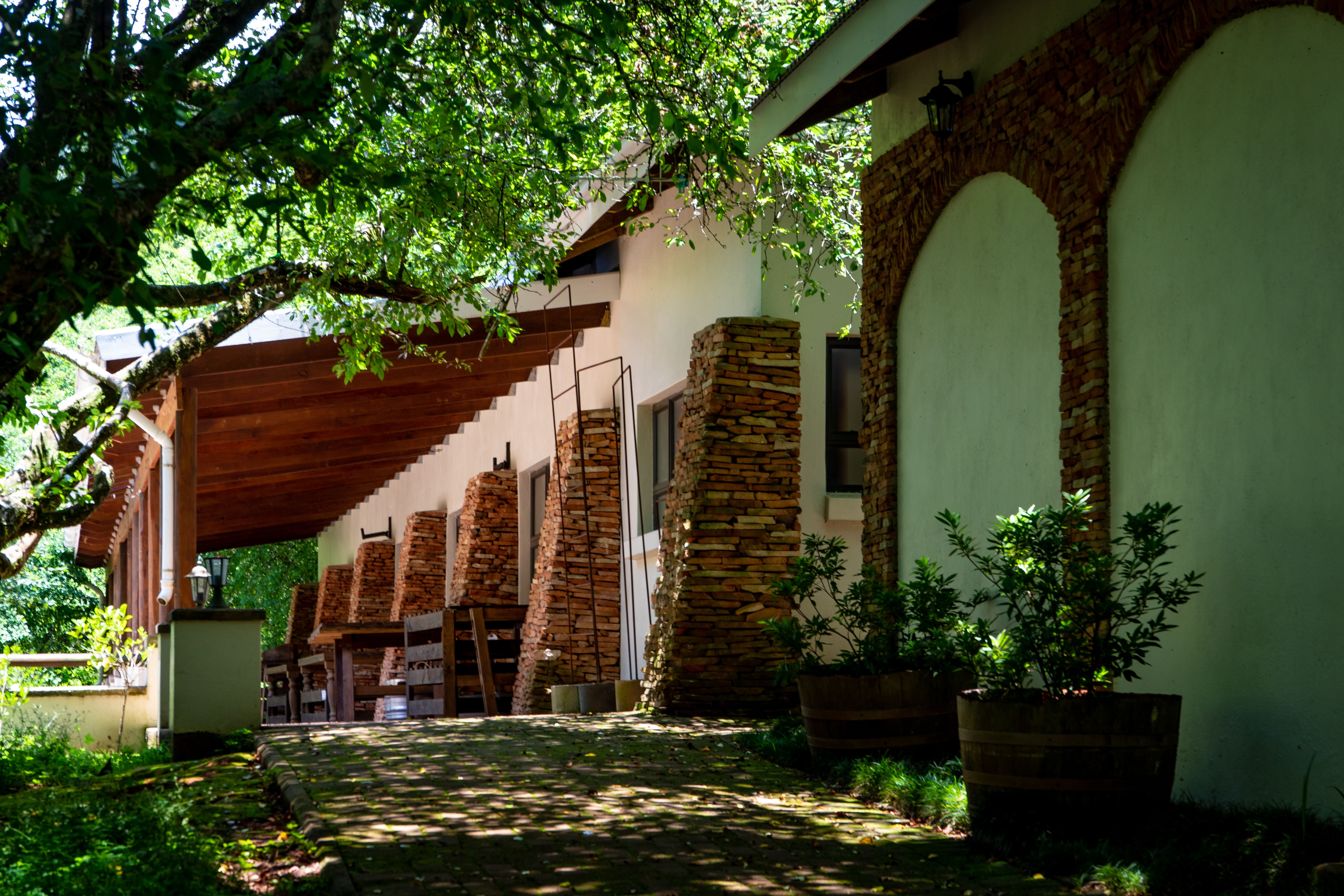 Rustic stone house porch with wooden features, surrounded by greenery and shaded path.