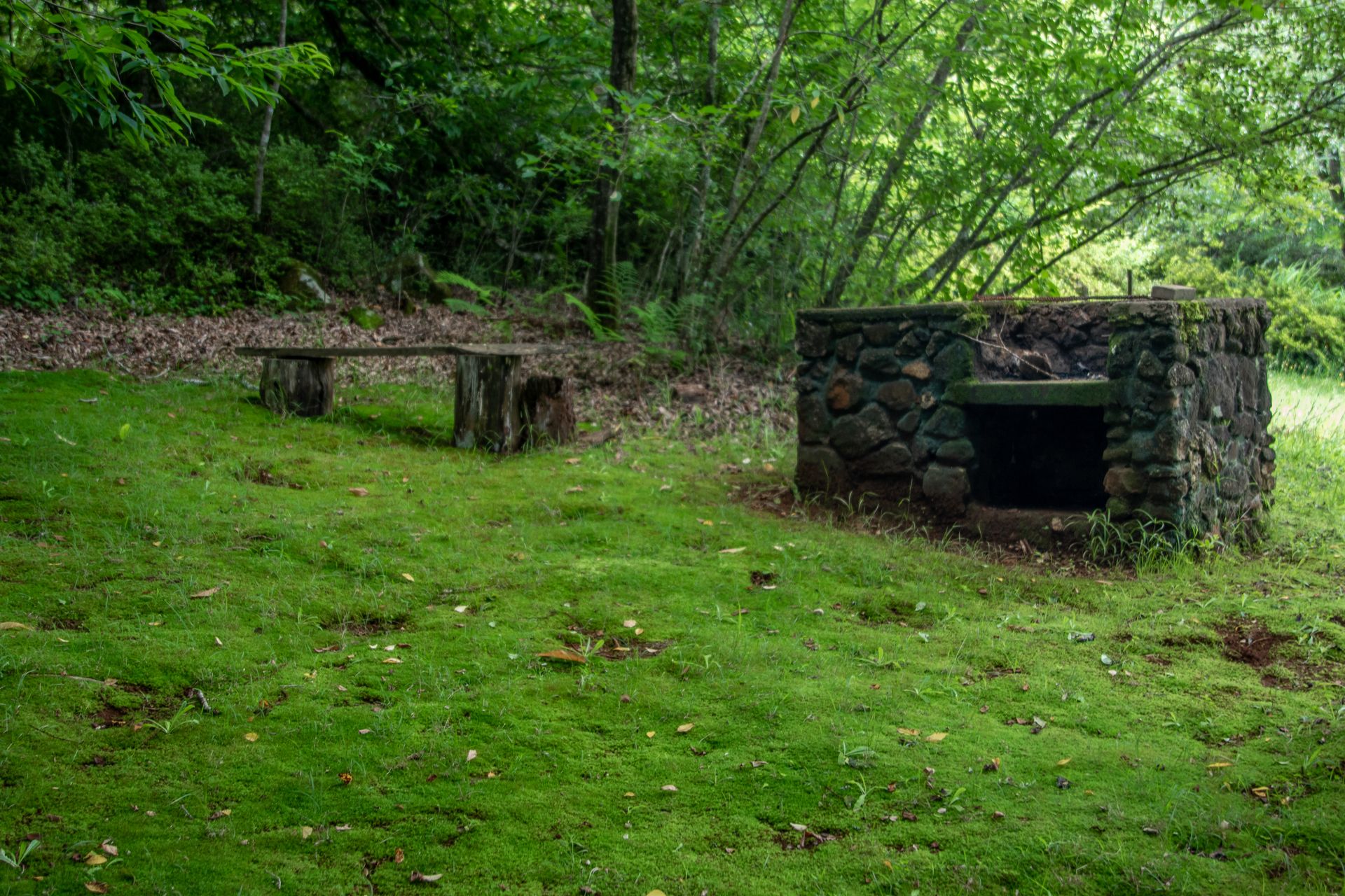 A serene forest scene featuring a stone fireplace and rustic wooden bench amidst lush green grass.