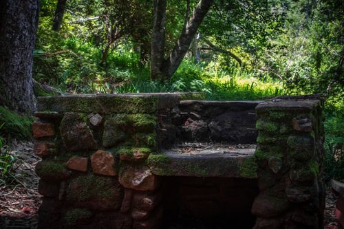 Free A moss-covered stone grill located in a sunlit, lush forest setting. Stock Photo