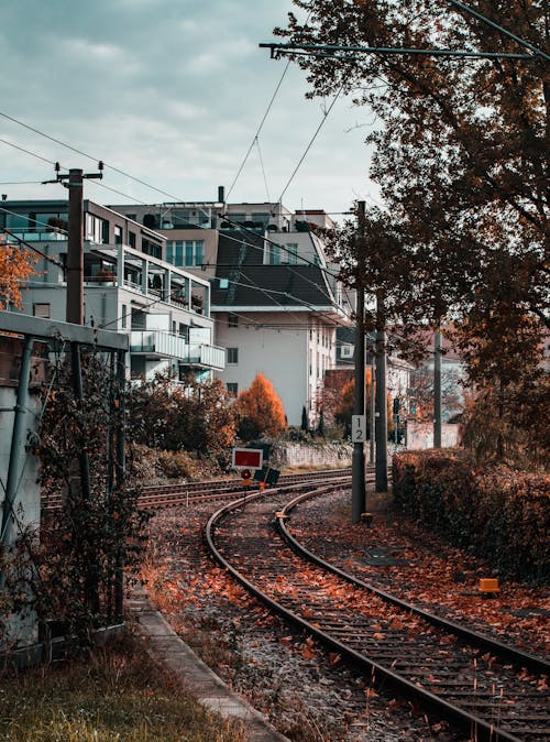 Kostnadsfri bild av byggnader, fallna löv, höst