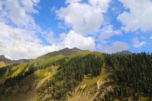 An Aerial Photography of Green Trees on Mountain Under the Blue Sky and White Clouds