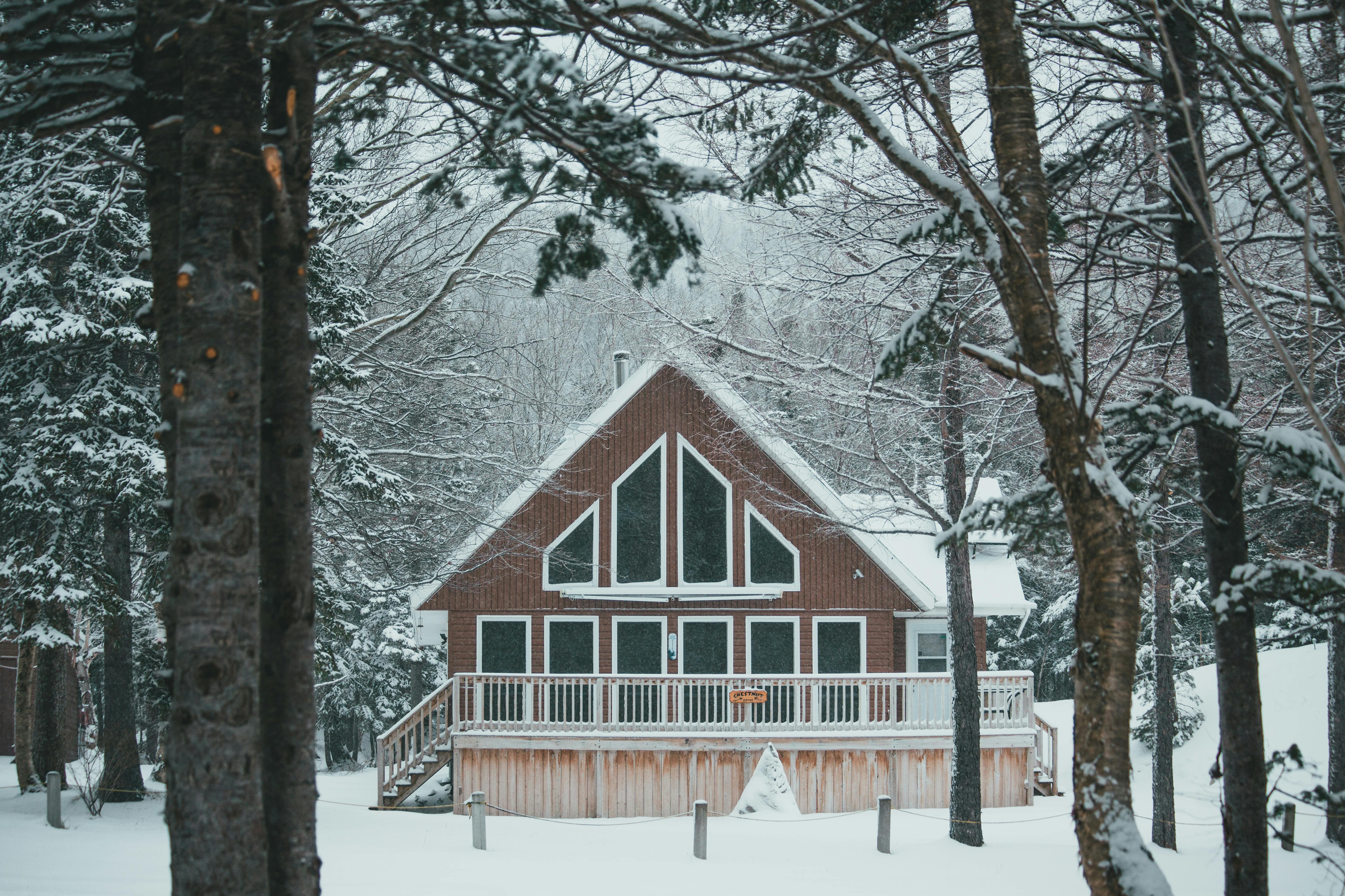 Free Exterior of contemporary residential cottage placed among snowy trees in forest in countryside in winter time in daylight Stock Photo