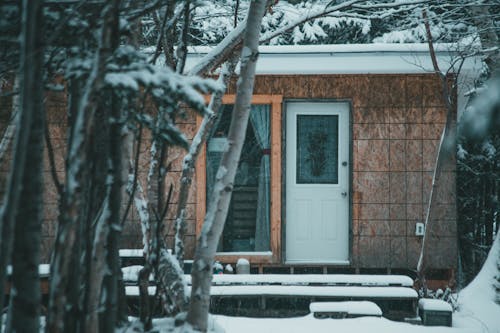 Small aged house placed among snowy trees in wintertime in daylight