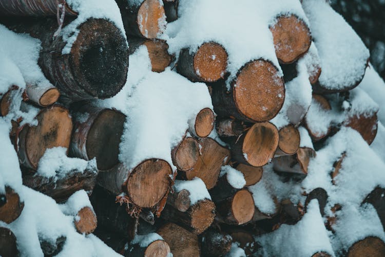 Pile Of Firewood Covered With Snow